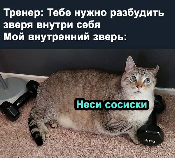https://upforme.ru/uploads/0019/82/12/369/t635337.jpg