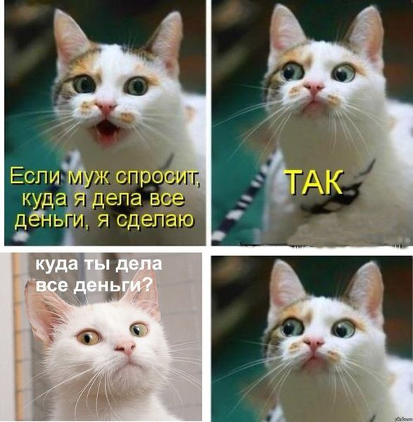 https://upforme.ru/uploads/0019/82/12/369/t644688.jpg
