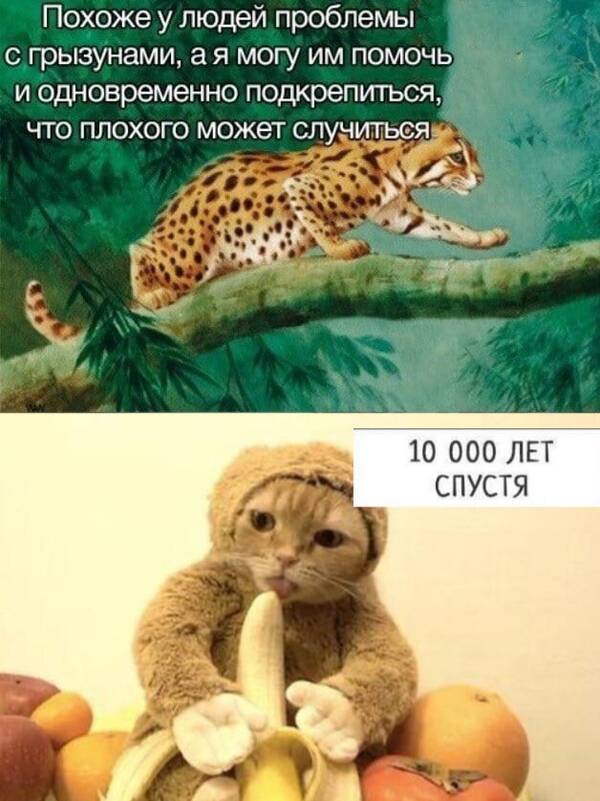 https://upforme.ru/uploads/0019/82/12/369/t680099.jpg