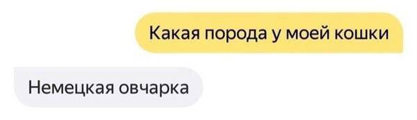 https://upforme.ru/uploads/0019/82/12/369/t713236.jpg