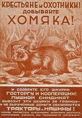 https://upforme.ru/uploads/0019/82/12/369/t717411.jpg