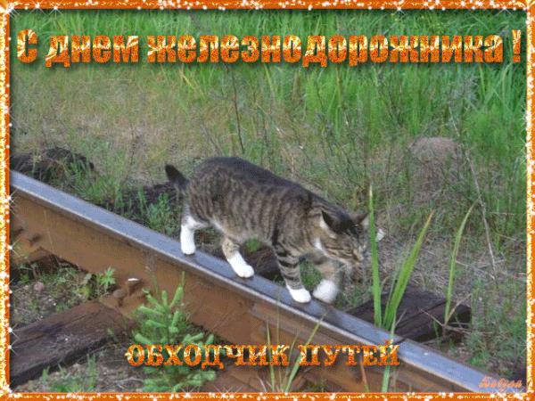 https://upforme.ru/uploads/0019/82/12/369/t747013.gif