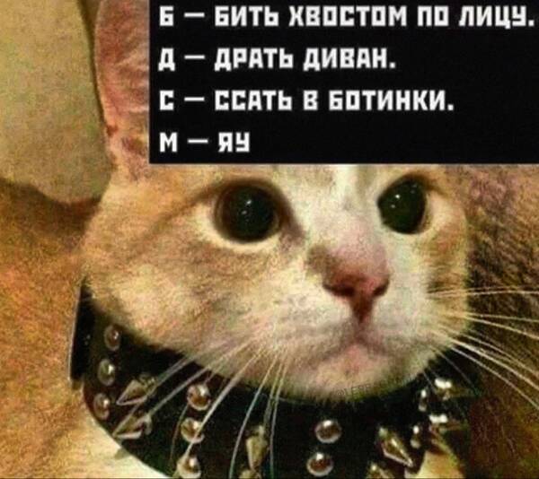 https://upforme.ru/uploads/0019/82/12/369/t860787.jpg