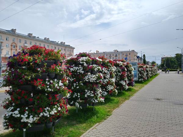 https://upforme.ru/uploads/0019/82/12/369/t906473.jpg