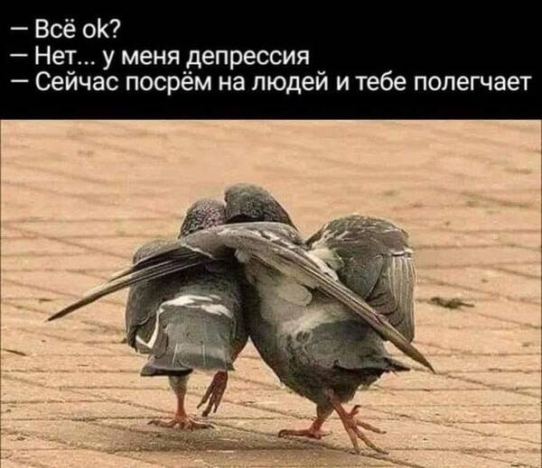 https://upforme.ru/uploads/0019/82/12/5/t171351.jpg