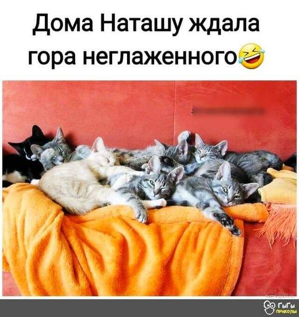 https://upforme.ru/uploads/0019/82/12/5/t19298.jpg