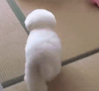 https://upforme.ru/uploads/0019/82/12/5/t356707.gif