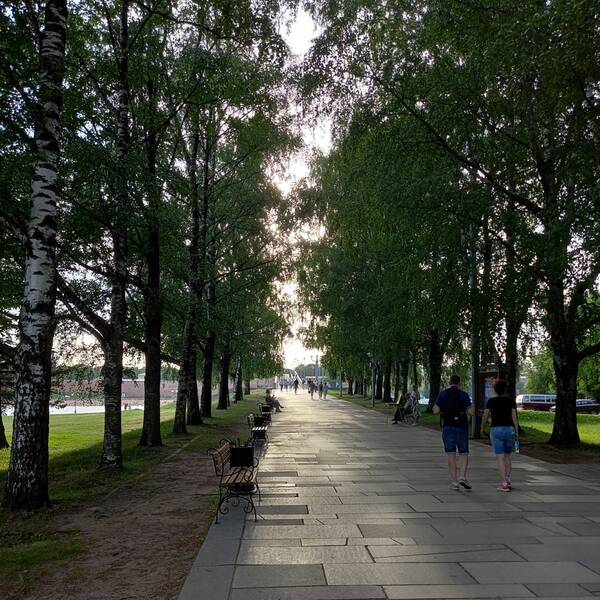 https://upforme.ru/uploads/0019/82/12/5/t357751.jpg