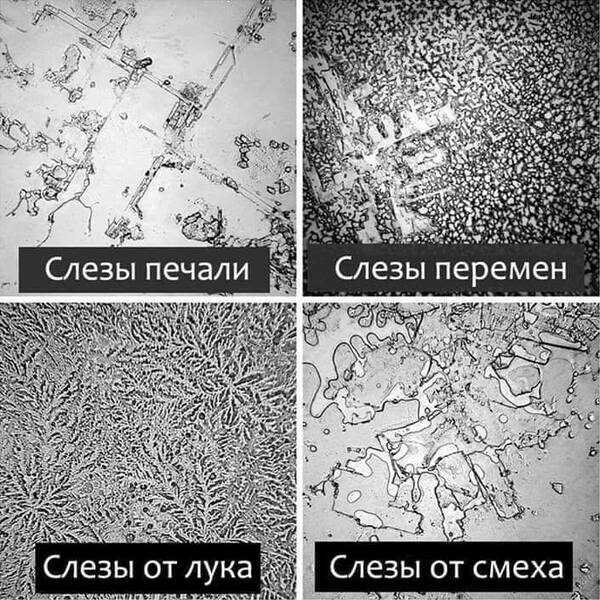 https://upforme.ru/uploads/0019/82/12/5/t411921.jpg