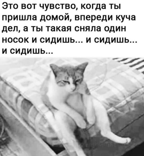 https://upforme.ru/uploads/0019/82/12/5/t434470.jpg