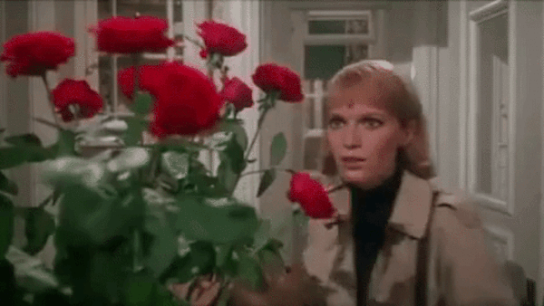 https://upforme.ru/uploads/0019/82/12/5/t489140.gif