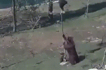 https://upforme.ru/uploads/0019/82/12/5/t497757.gif