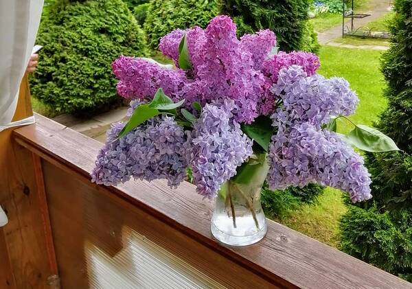 https://upforme.ru/uploads/0019/82/12/5/t542506.jpg