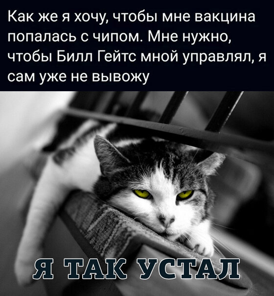 https://upforme.ru/uploads/0019/82/12/5/t607419.jpg