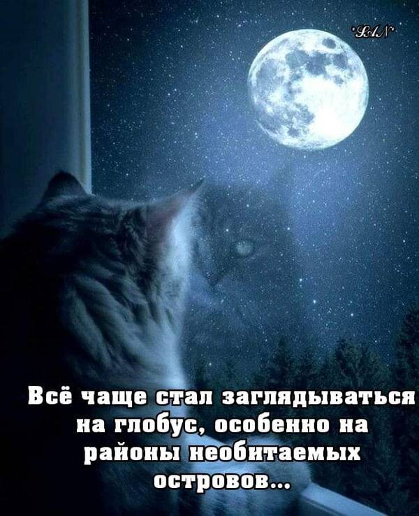 https://upforme.ru/uploads/0019/82/12/5/t634865.jpg