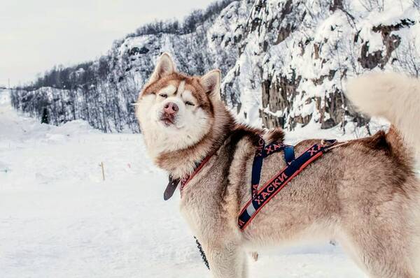 https://upforme.ru/uploads/0019/82/12/5/t653913.jpg