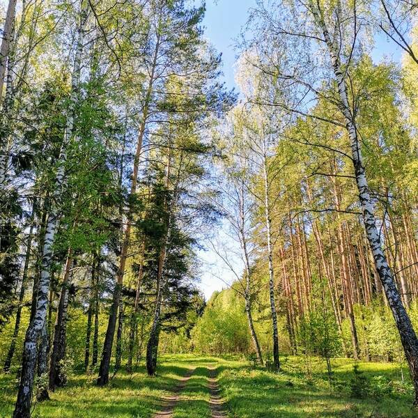 https://upforme.ru/uploads/0019/82/12/5/t655561.jpg