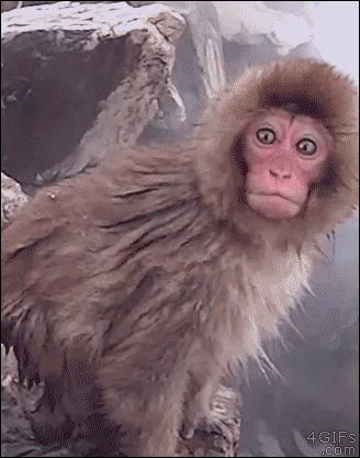 https://upforme.ru/uploads/0019/82/12/5/t737872.gif