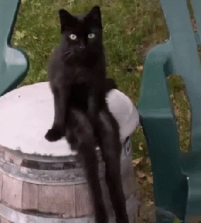 https://upforme.ru/uploads/0019/82/12/5/t775838.gif