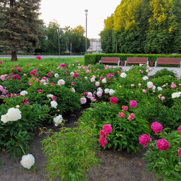 https://upforme.ru/uploads/0019/82/12/5/t862204.jpg