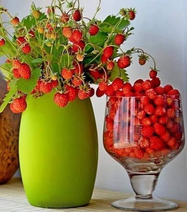 https://upforme.ru/uploads/0019/82/12/5/t875806.jpg