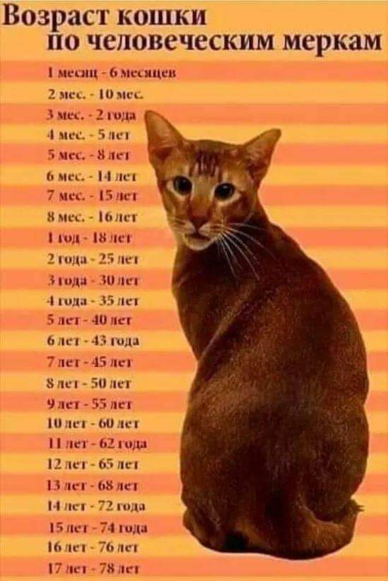 https://upforme.ru/uploads/0019/82/12/5/t920935.jpg
