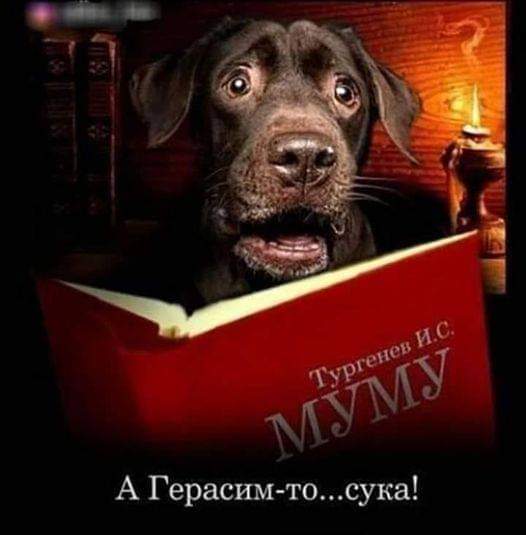 https://upforme.ru/uploads/0019/82/12/5/t955161.jpg