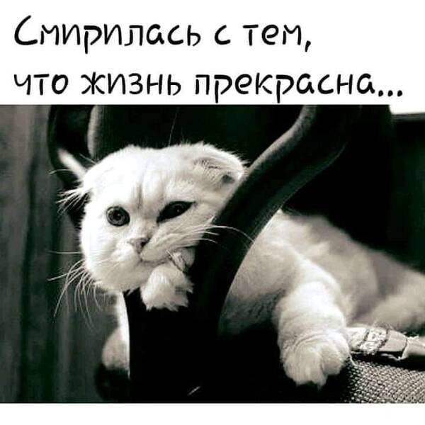 https://upforme.ru/uploads/0019/82/12/5/t996153.jpg