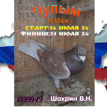 https://upforme.ru/uploads/0019/8b/76/107/t248124.png