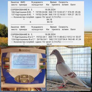 https://upforme.ru/uploads/0019/8b/76/107/t608537.jpg