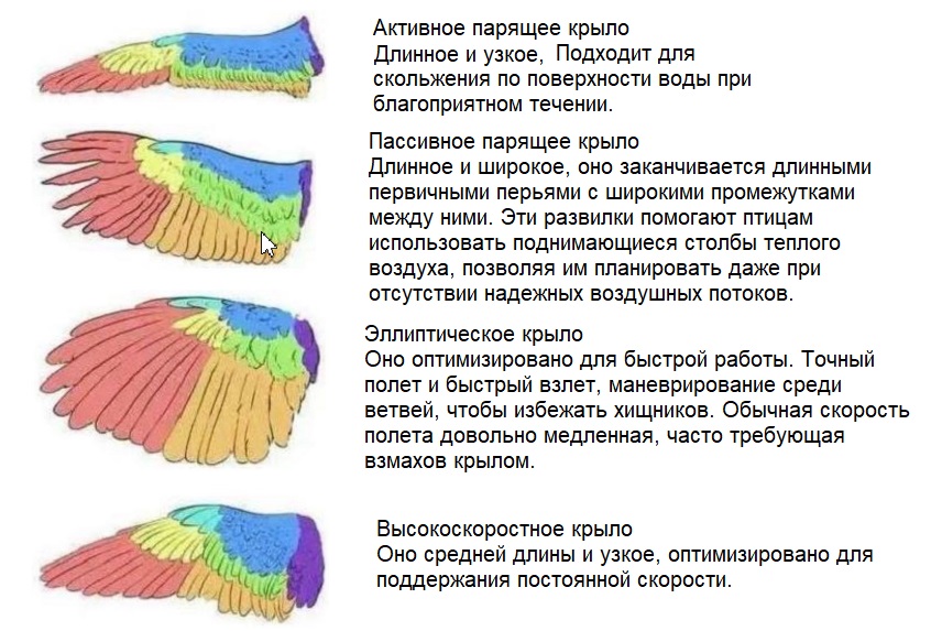 https://upforme.ru/uploads/0019/8b/76/2/207157.jpg