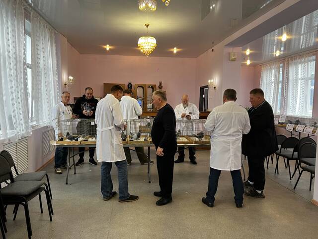 https://upforme.ru/uploads/0019/8b/76/2/487534.jpg
