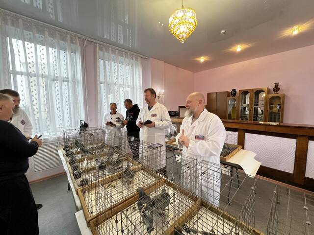 https://upforme.ru/uploads/0019/8b/76/2/541426.jpg