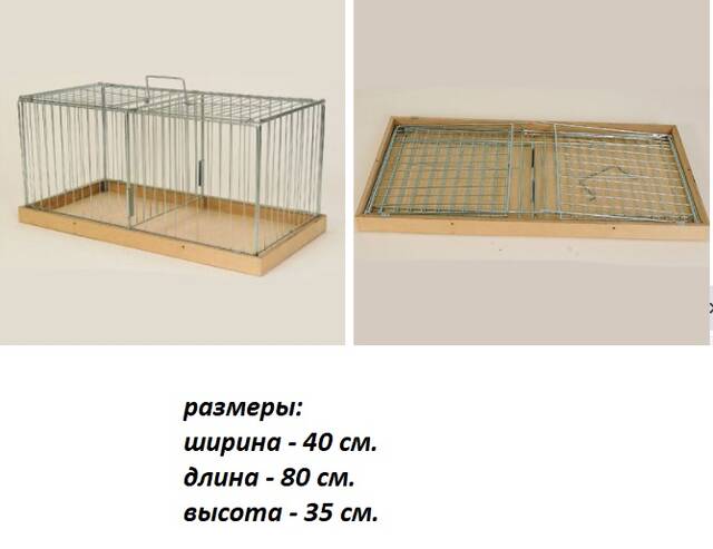 https://upforme.ru/uploads/0019/8b/76/2/782574.jpg