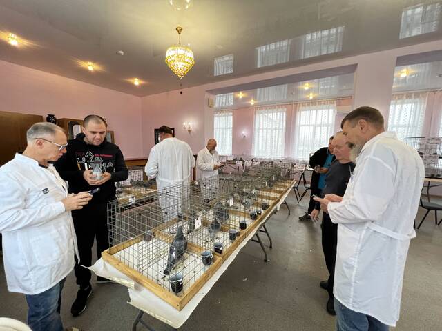 https://upforme.ru/uploads/0019/8b/76/2/918417.jpg