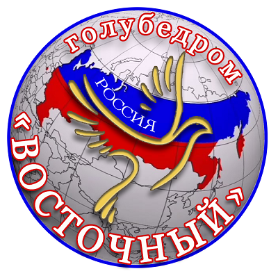 https://upforme.ru/uploads/0019/8b/76/2/940301.png
