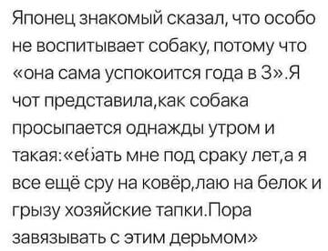 https://upforme.ru/uploads/0019/94/40/2/t640724.jpg