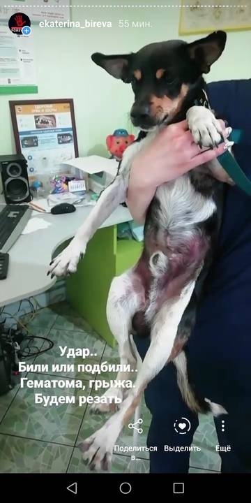 https://upforme.ru/uploads/0019/95/7e/21/t695724.jpg