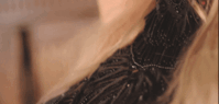 https://upforme.ru/uploads/0019/9e/ef/5100/354131.gif