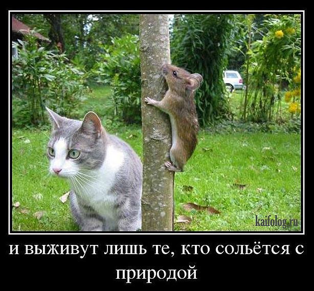 https://upforme.ru/uploads/0019/a0/b6/6/43431.jpg