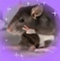 https://upforme.ru/uploads/0019/a4/9b/6/540759.png