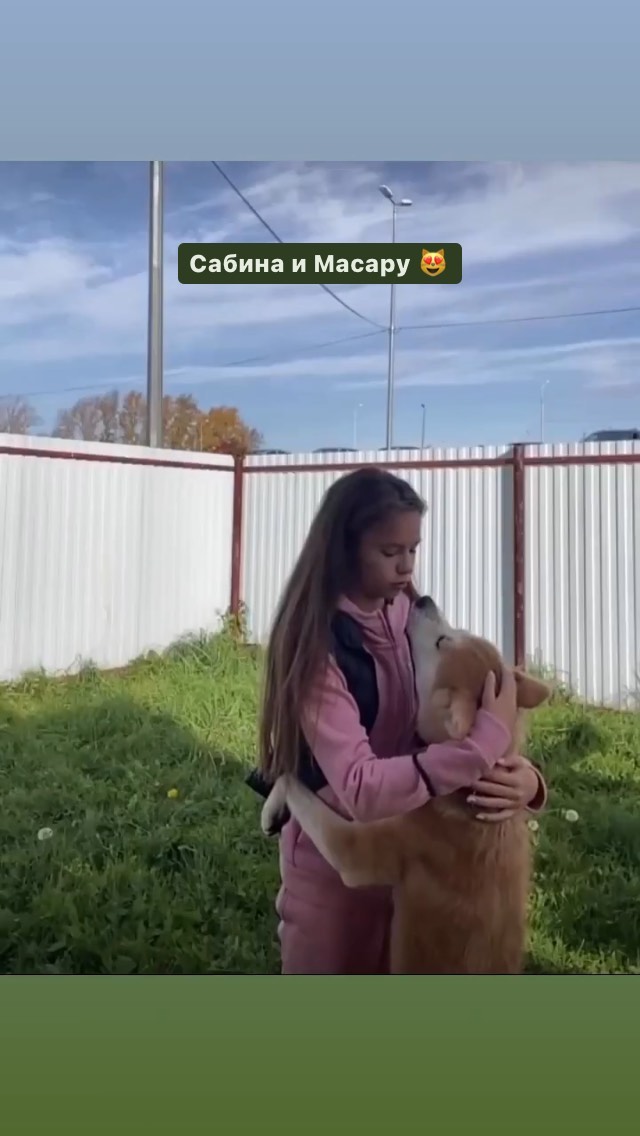 https://upforme.ru/uploads/0019/b5/94/330/122385.jpg
