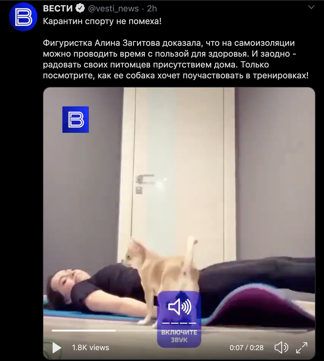 https://upforme.ru/uploads/0019/b5/94/330/18804.png