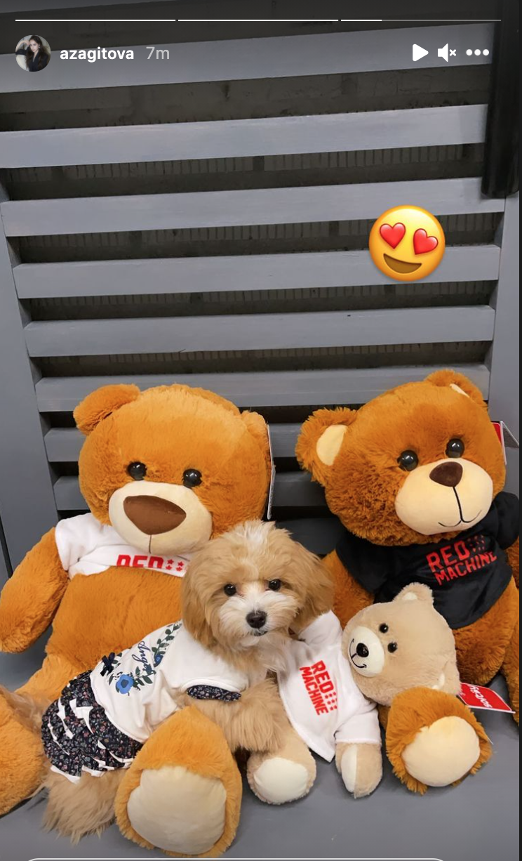 https://upforme.ru/uploads/0019/b5/94/330/201813.png