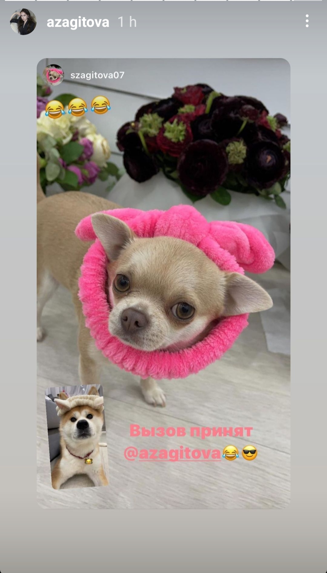 https://upforme.ru/uploads/0019/b5/94/330/207608.jpg