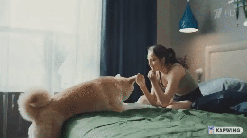 https://upforme.ru/uploads/0019/b5/94/330/278736.gif