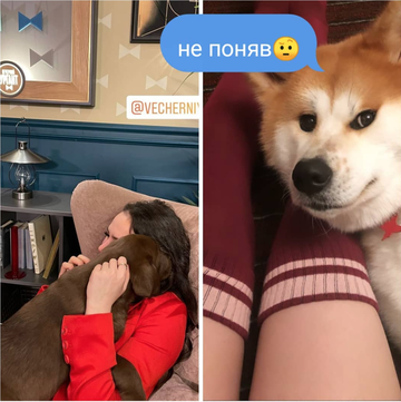 https://upforme.ru/uploads/0019/b5/94/330/t217714.png