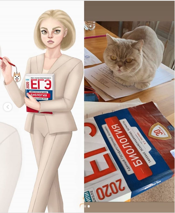 https://upforme.ru/uploads/0019/b5/94/330/t361694.png