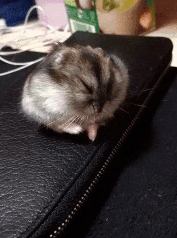 https://upforme.ru/uploads/0019/b5/94/330/t55365.gif