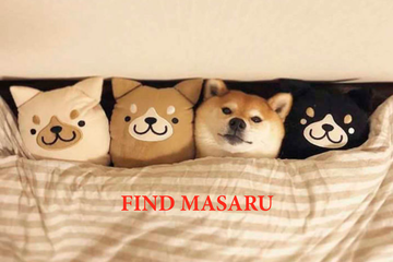 https://upforme.ru/uploads/0019/b5/94/330/t84738.png